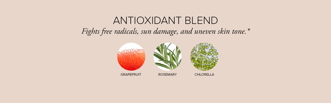 Small pictures depicting grapefruit, rosemary, and chlorella, some key ingredients in Skin Restore's antioxidant blend
